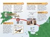 Книга Росмэн Энциклопедия для детей. Что? Как? Почему? - 31422