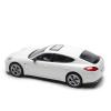 Радиоуправляемый автомобиль Double Star Porsche Panamera Turbo S масштаб 1:16 - 1023