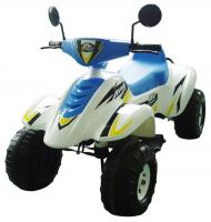 Электроквадроцикл Chien Ti Beach Racer CT558