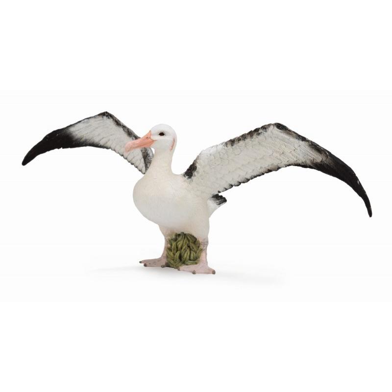 Фигурка Gulliver Collecta - Странствующий альбатрос, размер L - 88765b