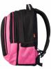 Рюкзак 2 в 1 *Pink pampero* - 21292
