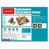 Настольная игра Bondibon *Динозавры. Подземные клады*, Т240 - ВВ5285