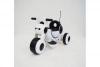 Электромотоцикл RiverToys HL300