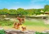 Конструктор Playmobil Зоопарк: Семья Тигров - 6645pm