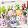 Конструктор RTOY 3D из миниблоков Plante Цветок в горшке, 91 элементов - JK2710-5