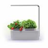 Компактный смарт-сад iGarden LED с подсветкой - GL2018