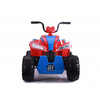Электроквадроцикл RiverToys T555TT