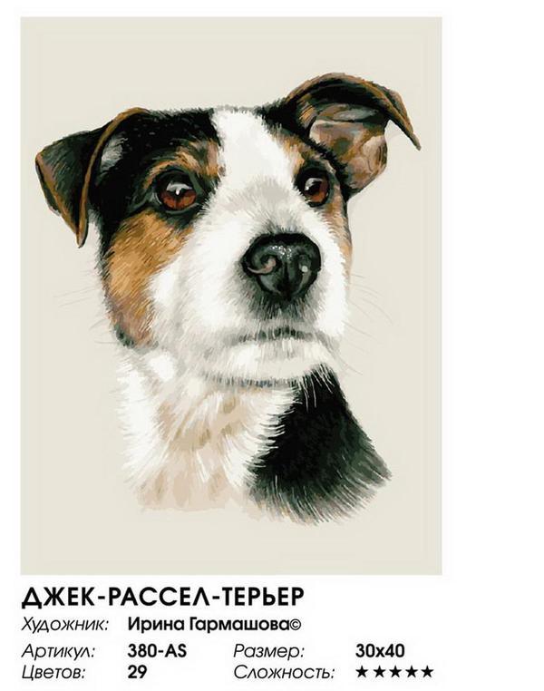 Картина по номерам на холсте Белоснежка *Джек-рассел-терьер*, 30*40 см - 380-AS