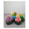Конструктор RToy 3D из миниблоков Цветы Суккуленты 1шт, 142 элементов - WL2110