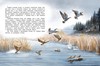 Книга Феникс Серая Шейка - УТ-00018360