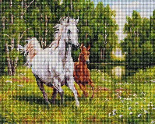 Алмазная мозаика *На воле*, 40*50 см - 383-ST-S