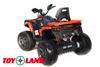 Электроквадроцикл ToyLand BBH3588