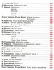 Книга Росмэн 100 стихов про Новый год - 28090