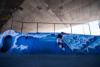 Роллерсёрф Razor RipSurf разноцветный - 051106