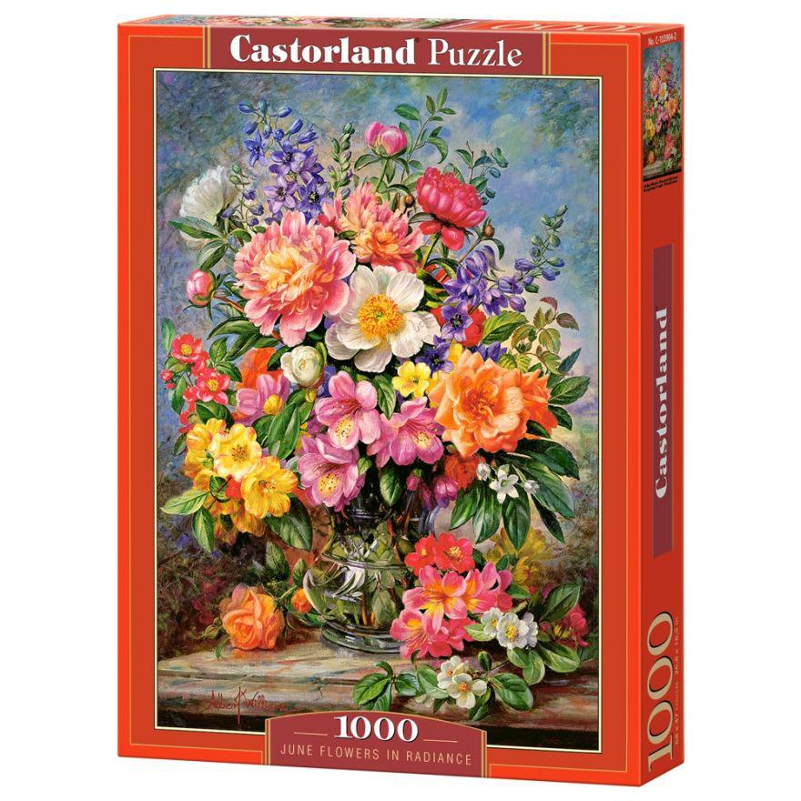 Пазл Castorland Цветы в сиянии, 1000 элементов - C-103904
