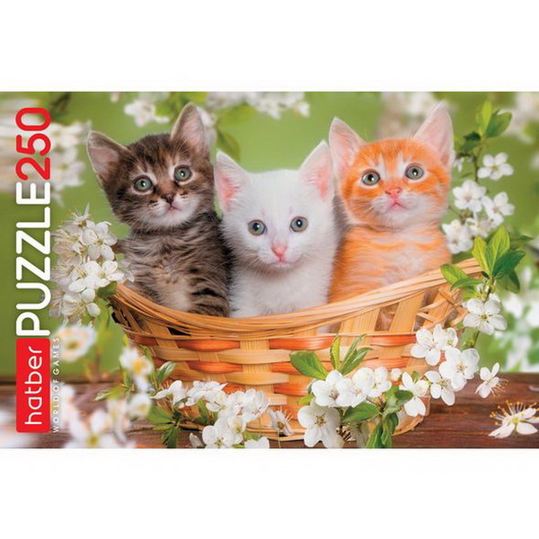 Пазл Hatber *Котята*, 250 элементов - 250ПЗ3-18582