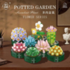 Конструктор RToy 3D из миниблоков Цветы Суккуленты 1шт, 142 элементов - WL2110