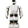 Робот Leju Aelos 1 LEJU ROBOTICS