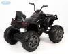 Электроквадроцикл Barty Grizzly Т001МР_new