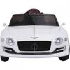 Электромобиль Joy Automatic Bentley EXP12 JE1166