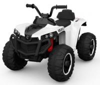 Электроквадроцикл Joy Automatic BRP BJS888