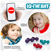 Настольная игра-головоломка Bondibon «IQ-ГИГАНТ» БондиЛогика 920-1 - ВВ5562