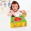 Кубики Hape Лили, 9 элементов - E0452_HP