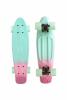 Скейтборд Triumf Active 22* TLS-401M Mint - во2930