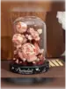 Конструктор Новогодние Цветы в Колбе-BA16397|Limit