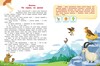 Книга Феникс Природа мира - УТ-00018232