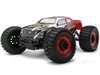 Зимний защитный чехол для радиомодели RC Thunder Tiger MT4-G3 1:8 - PolyM-CovTT01graffiti