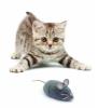 Микроробот *Mouse Cat Toy*, серый - 480-3031