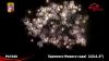 Фейерверк Удачного Нового года! (1,0*х 12) - РС7040