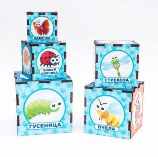 Сортер-пирамидка Woodland Живой мир, 5 куб. - 98111