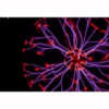 Шар плазменный Plasma Ball 10см - plasma-ball-4