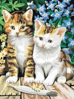 Картина по номерам *Котята*, 30*40 см - 231-CE