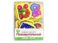 Алфавит русский. Познавательный - IG0187