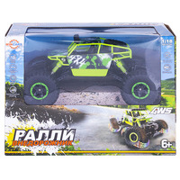 Радиоуправляемый ралли-внедорожник Wincars - BP-2024