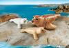 Конструктор Playmobil Аквариум: Корзина с щенками - 9069pm