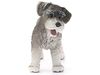 Фигурка Schleich Цвергшнауцер